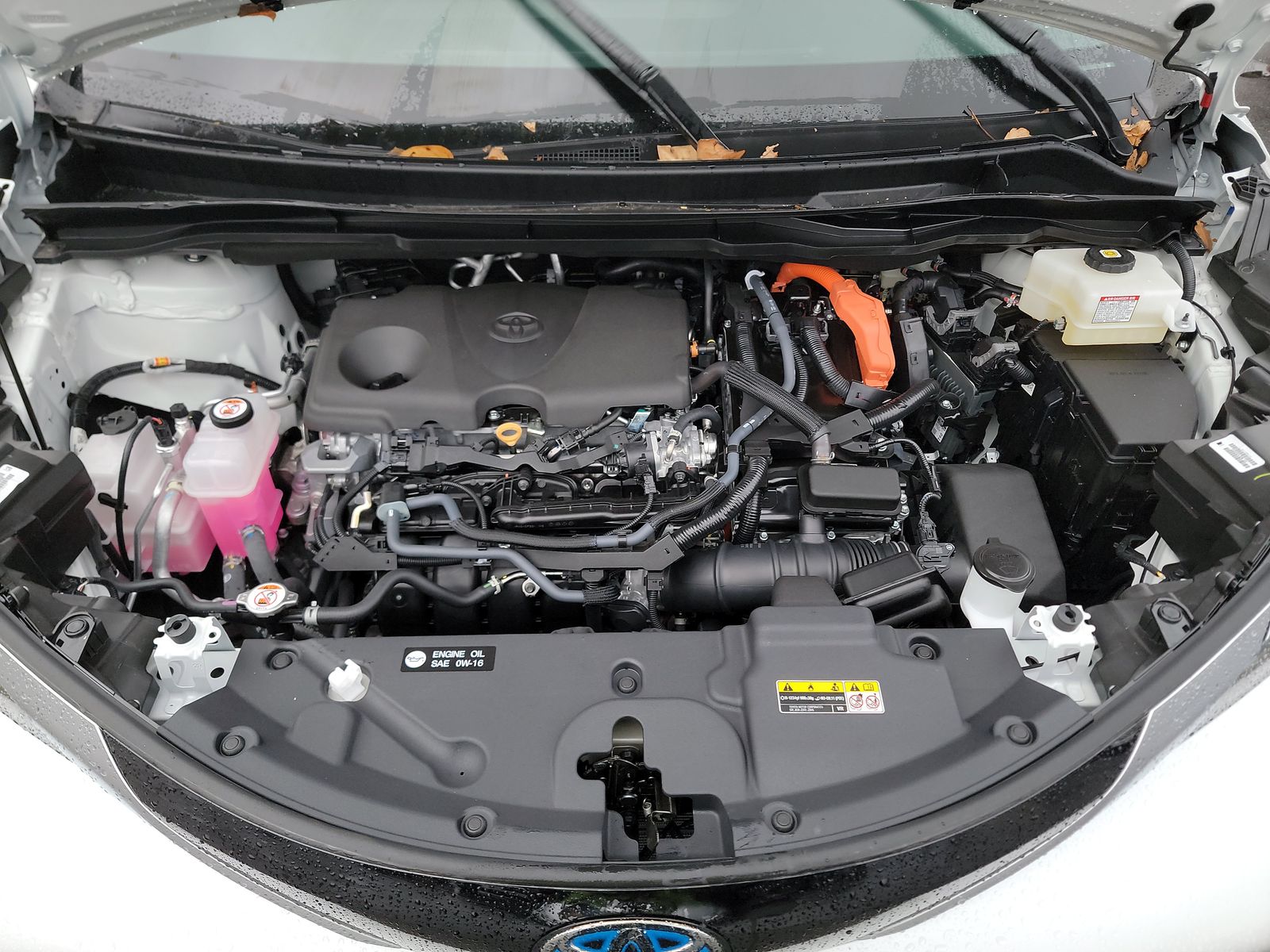 2025 Toyota Sienna Limited AWD