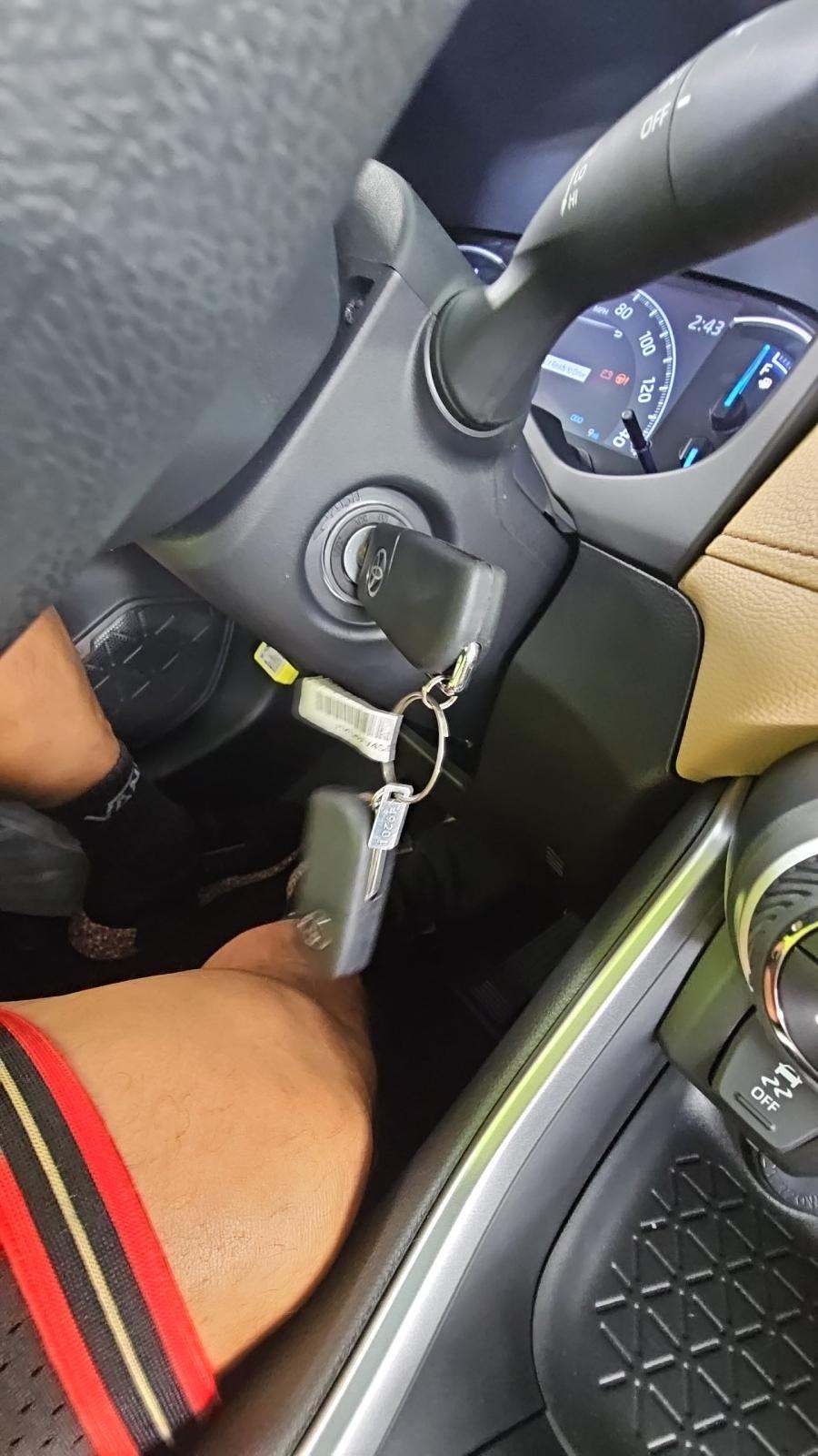 2025 Toyota RAV4 Hybrid LE AWD