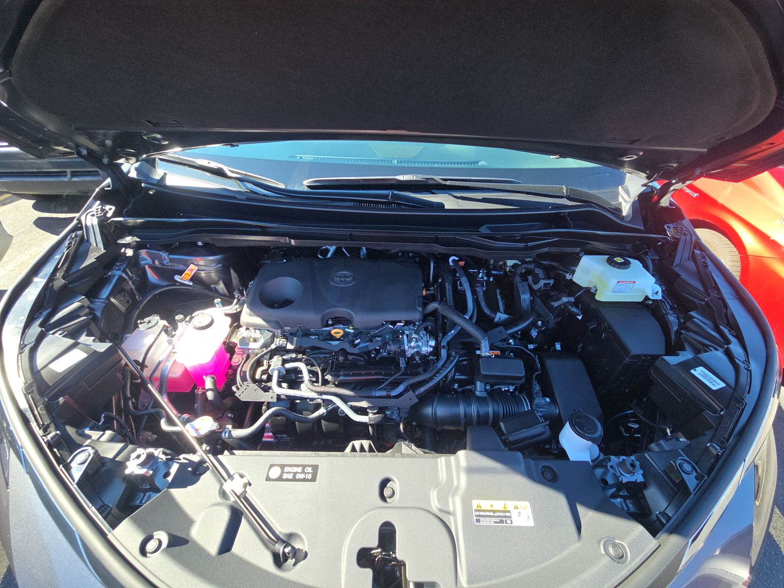 2025 Toyota Sienna XLE FWD