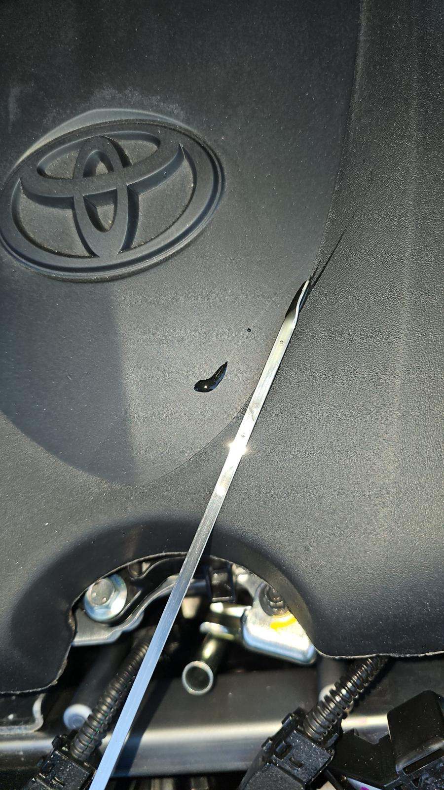 2025 Toyota Sienna XLE FWD