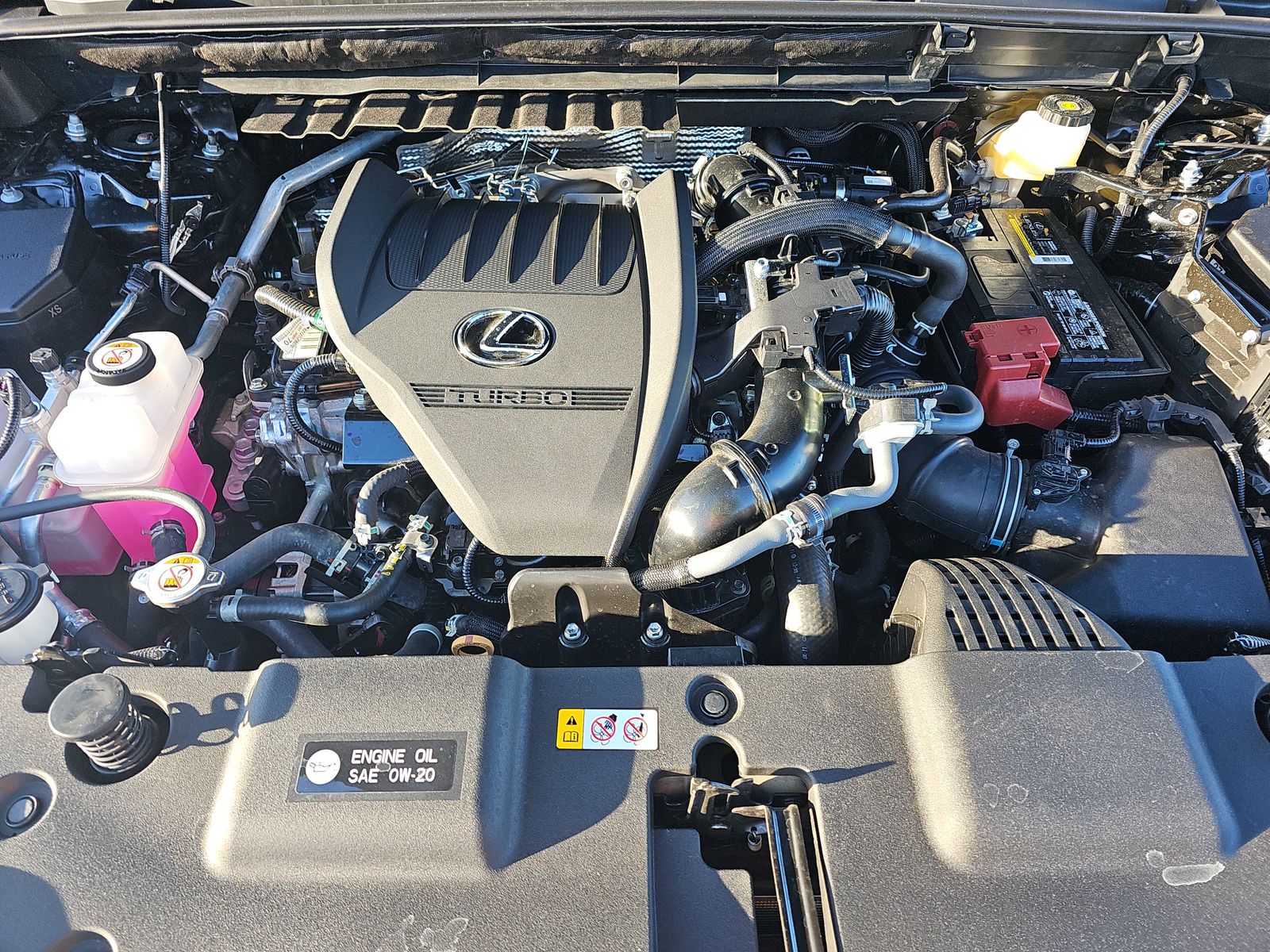 2025 Lexus NX NX 350 AWD