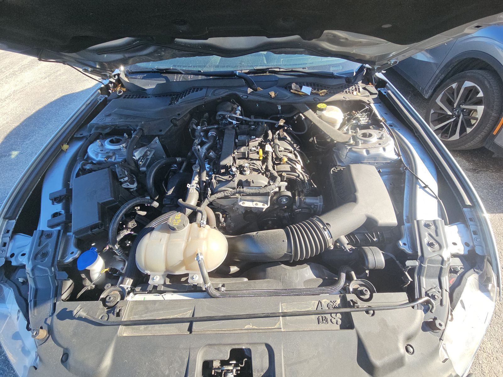 2023 Ford Mustang EcoBoost RWD