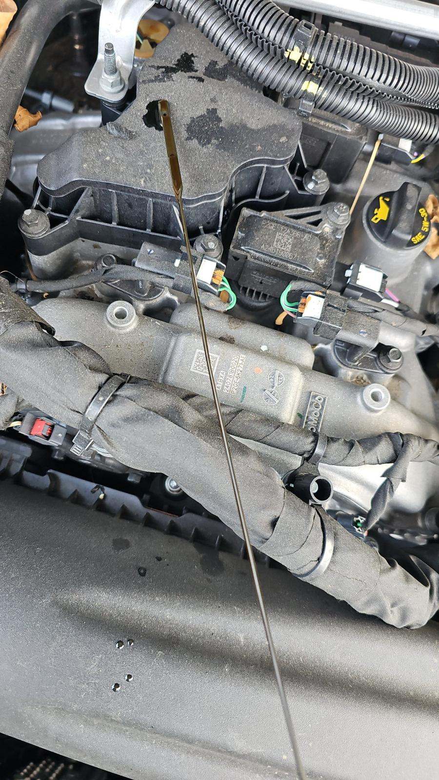 2025 Ford Explorer Active RWD