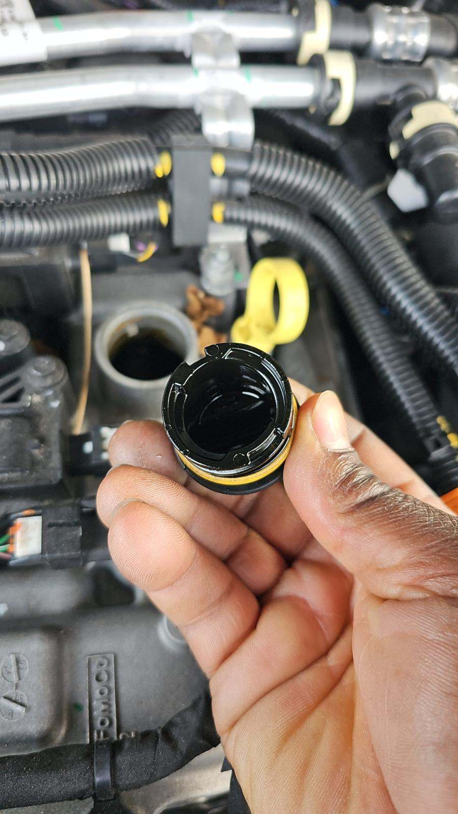 2025 Ford Explorer Active RWD