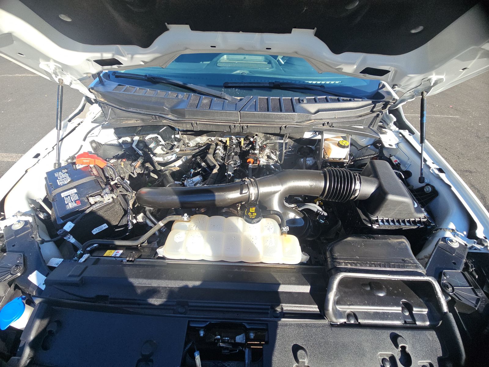 2024 Ford F-150 XLT AWD