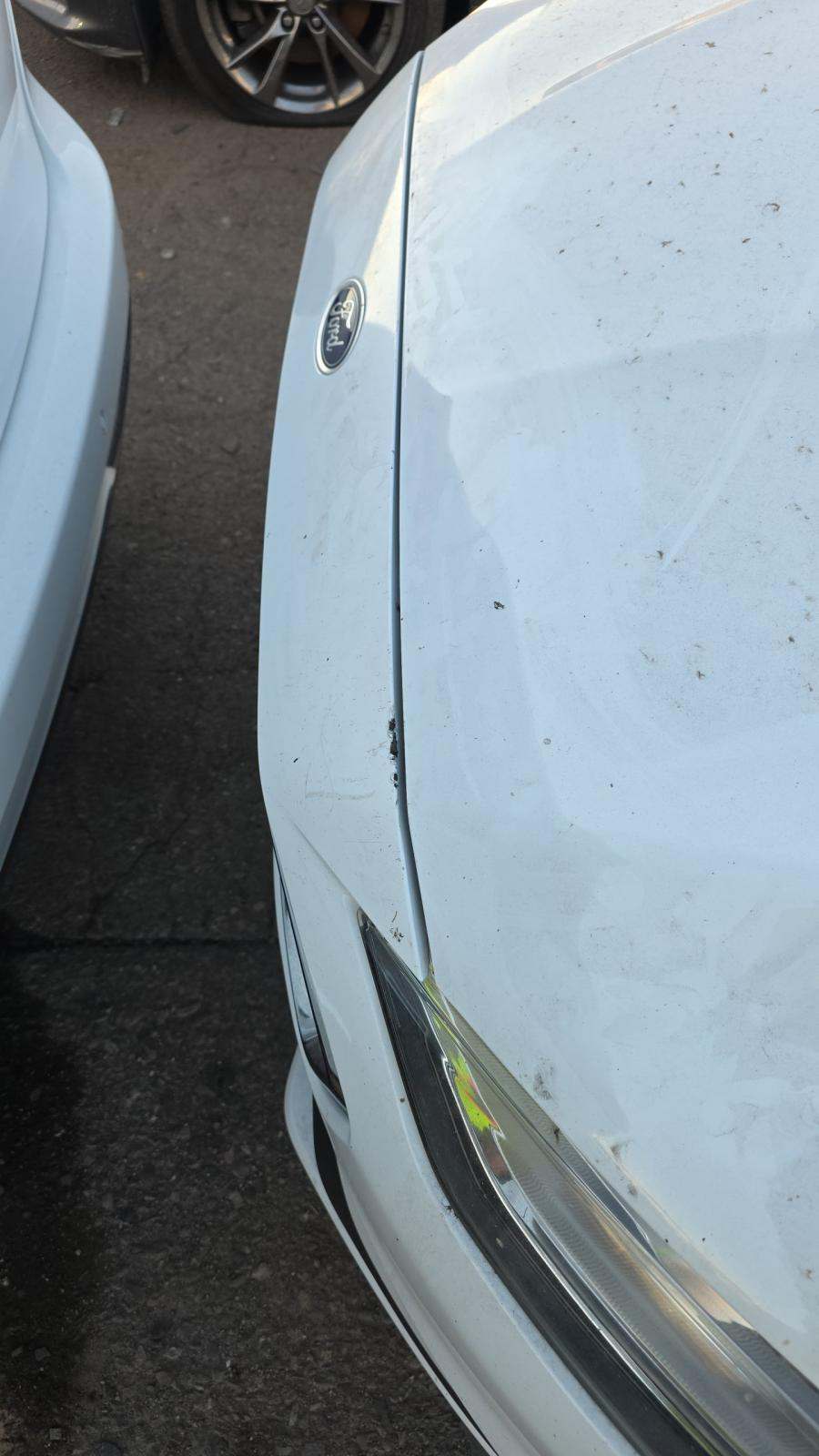 2019 Ford Fusion SE FWD