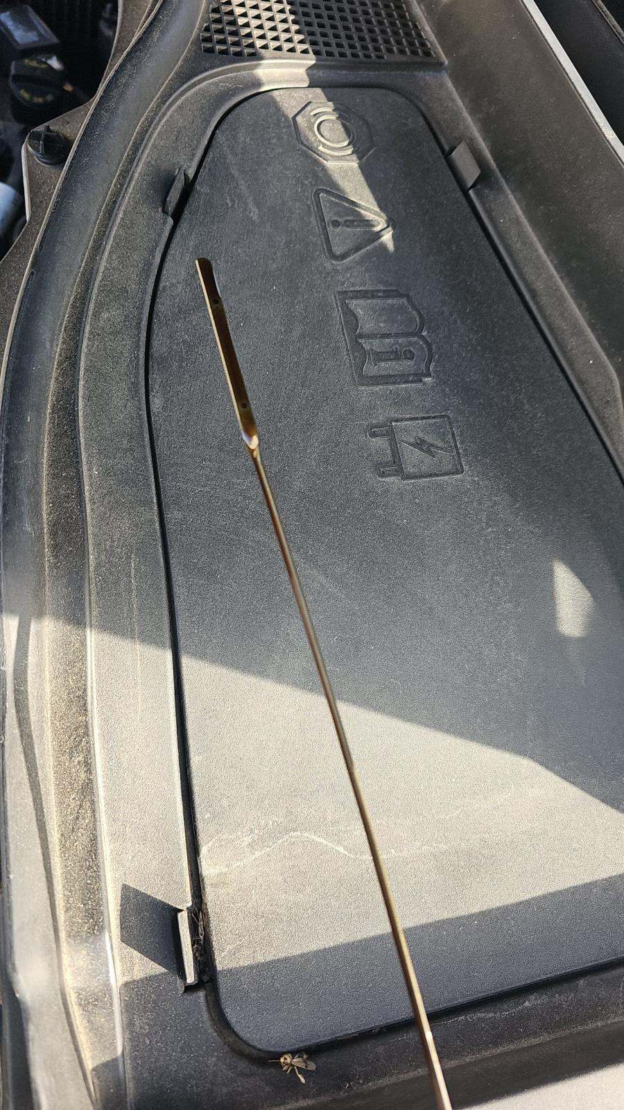 2023 Ford Explorer XLT AWD