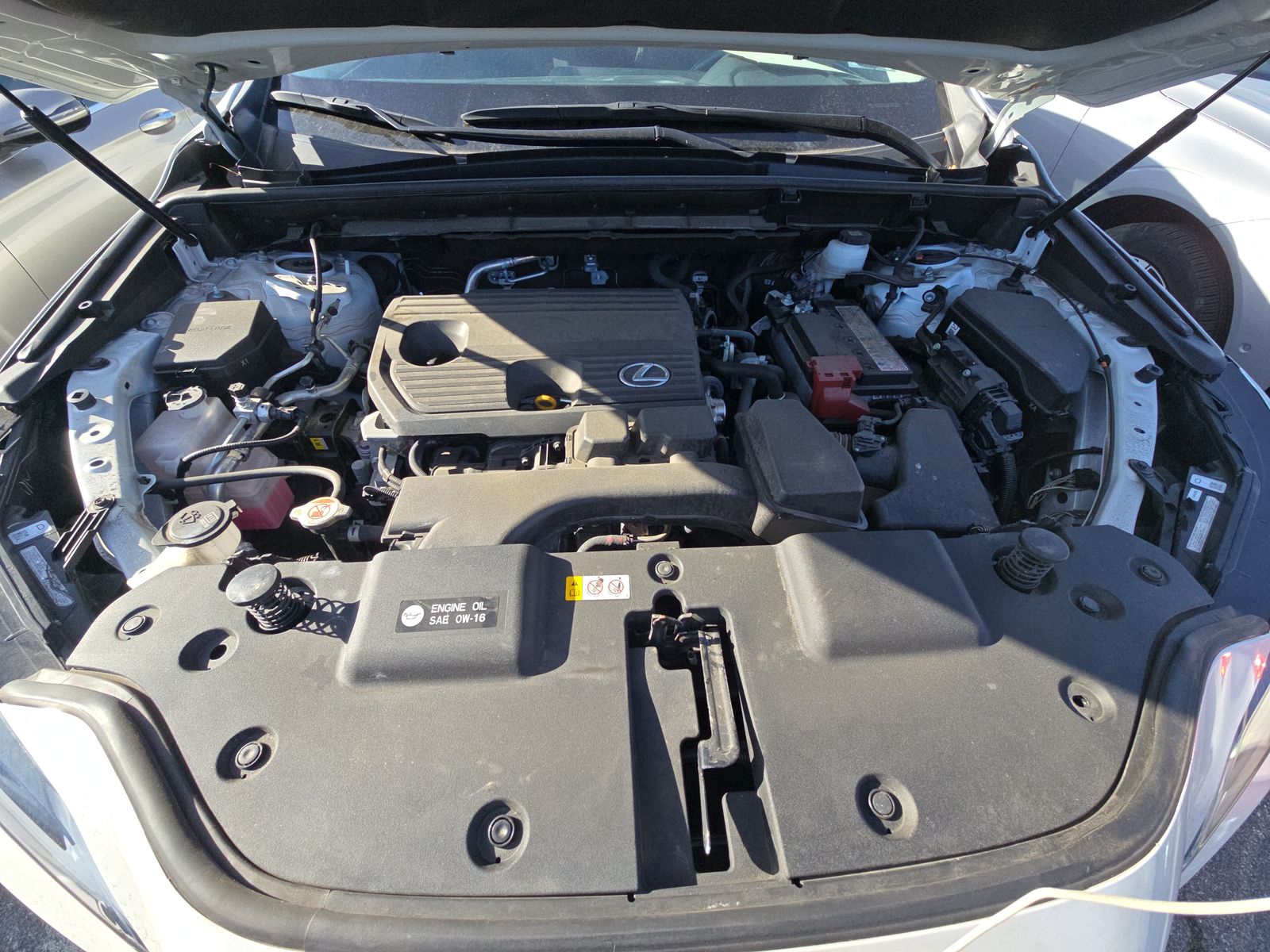 2024 Lexus NX NX 250 FWD