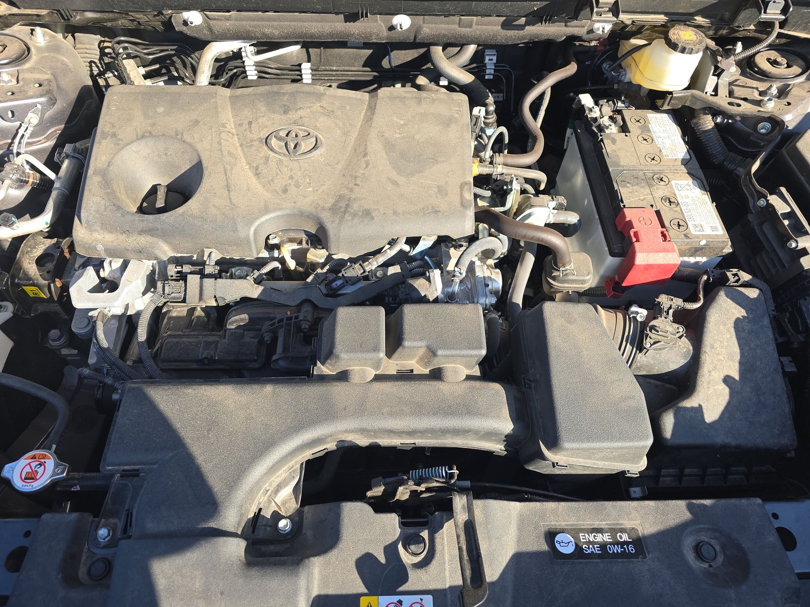 2025 Toyota RAV4 XLE AWD