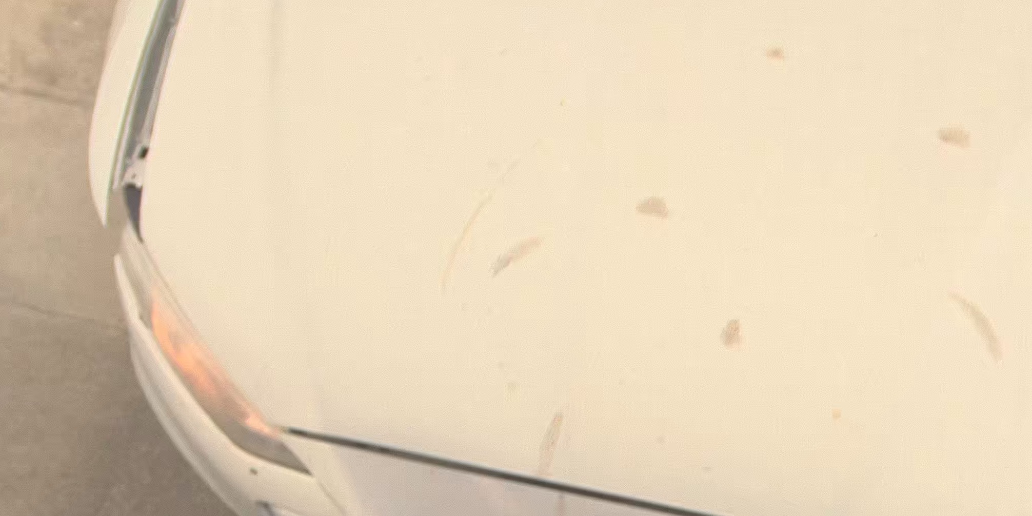 2019 Ford Fusion SE AWD