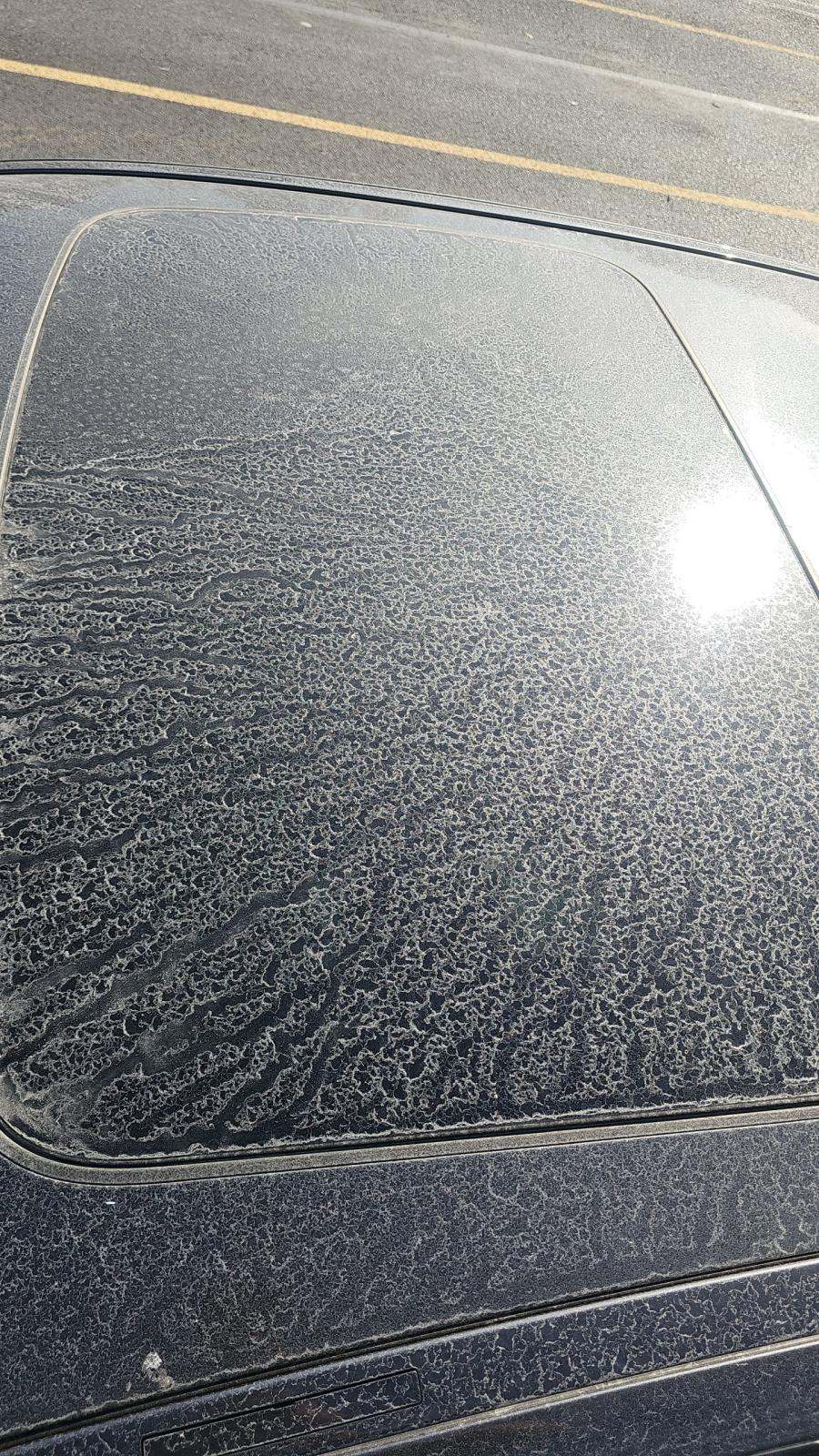 2020 BMW 5 Series 530i RWD