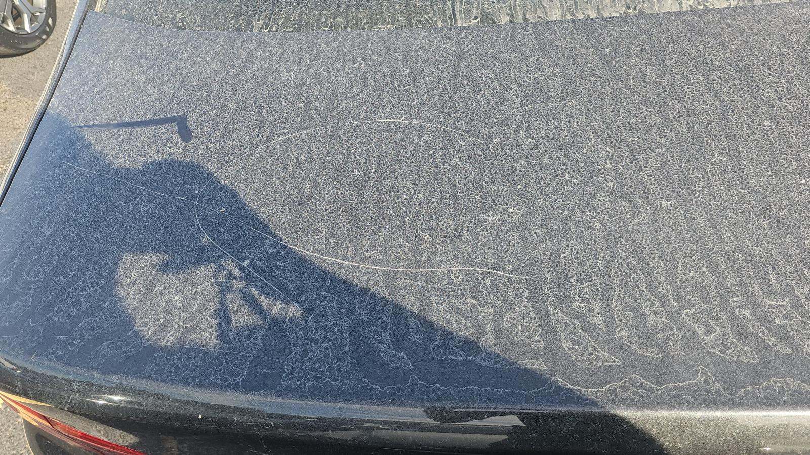 2020 BMW 5 Series 530i RWD