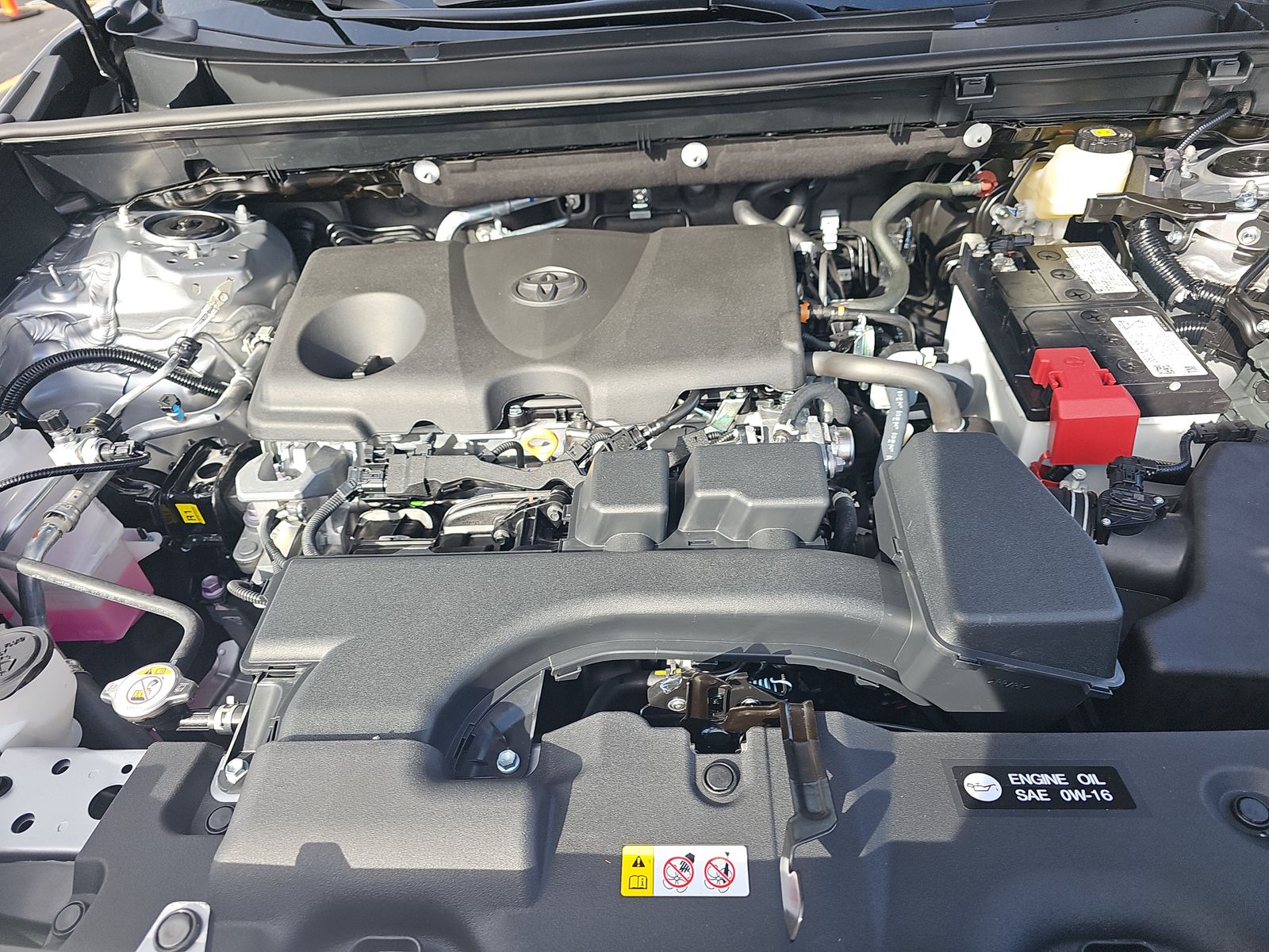 2025 Toyota RAV4 XLE FWD