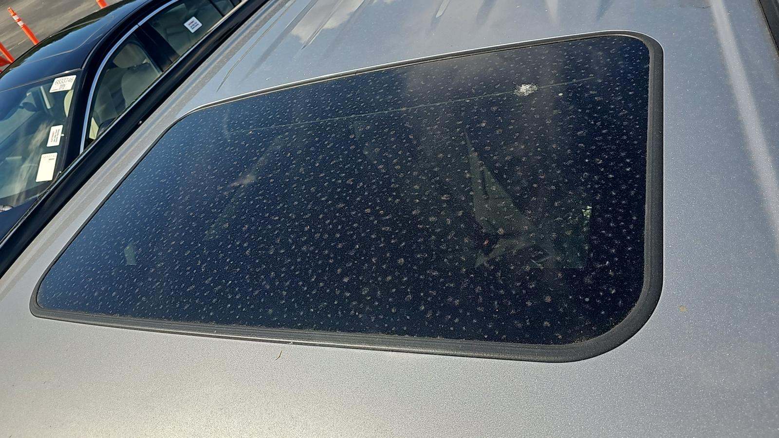 2025 Toyota RAV4 XLE FWD