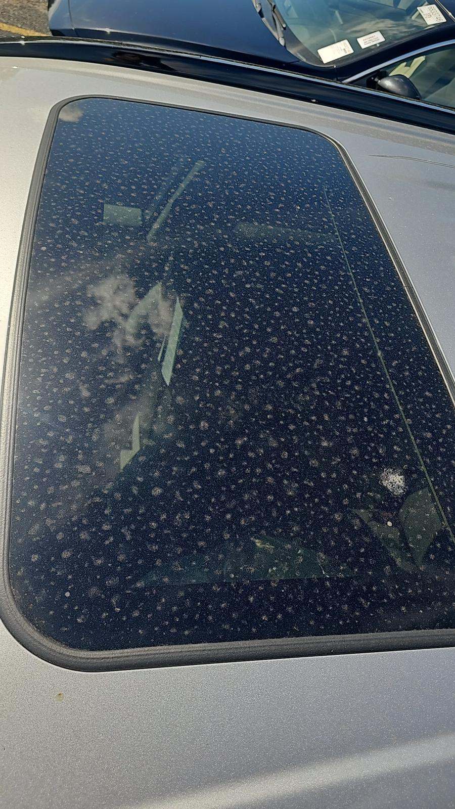 2025 Toyota RAV4 XLE FWD