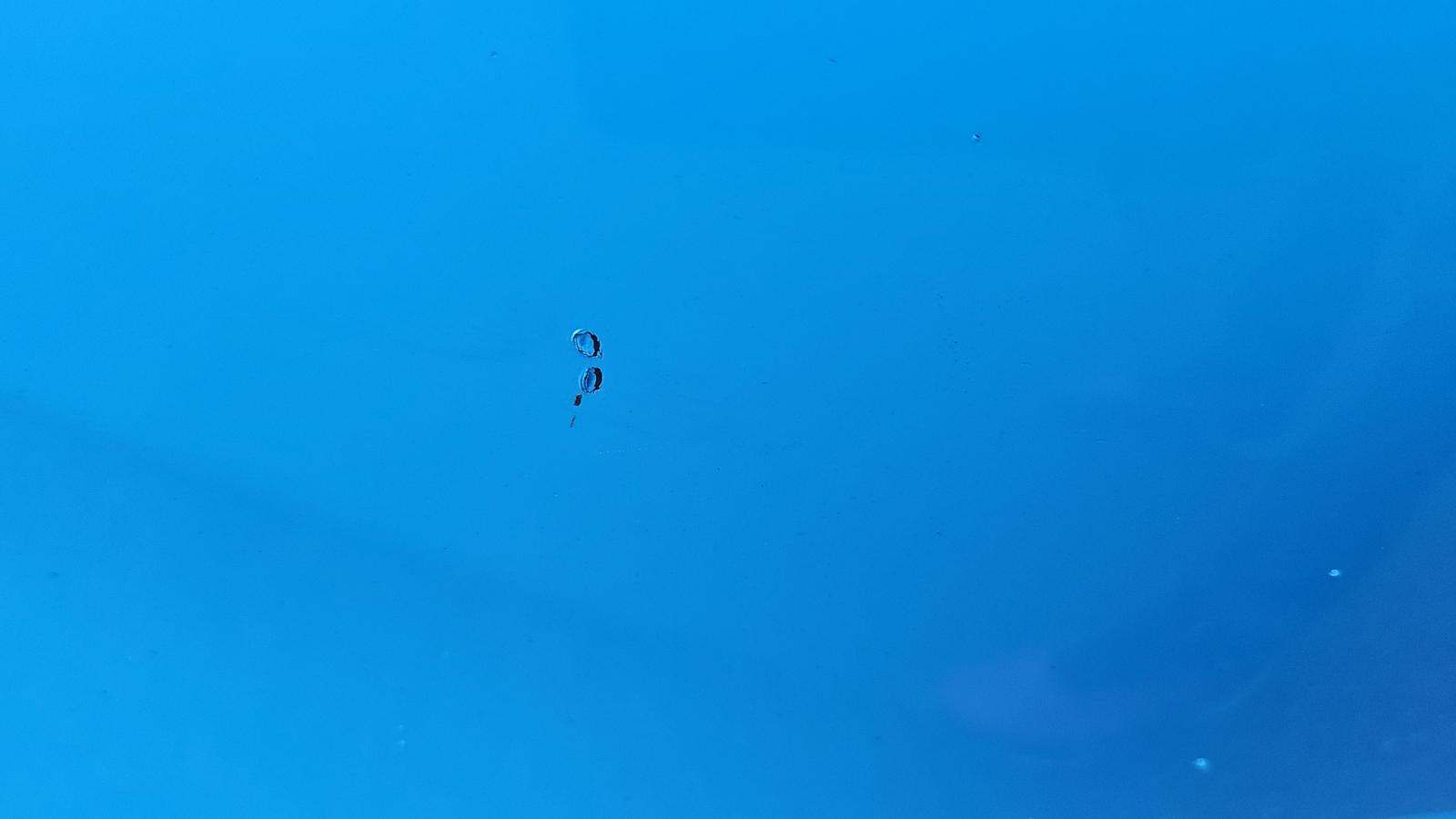 2022 Chevrolet Camaro LT1 RWD