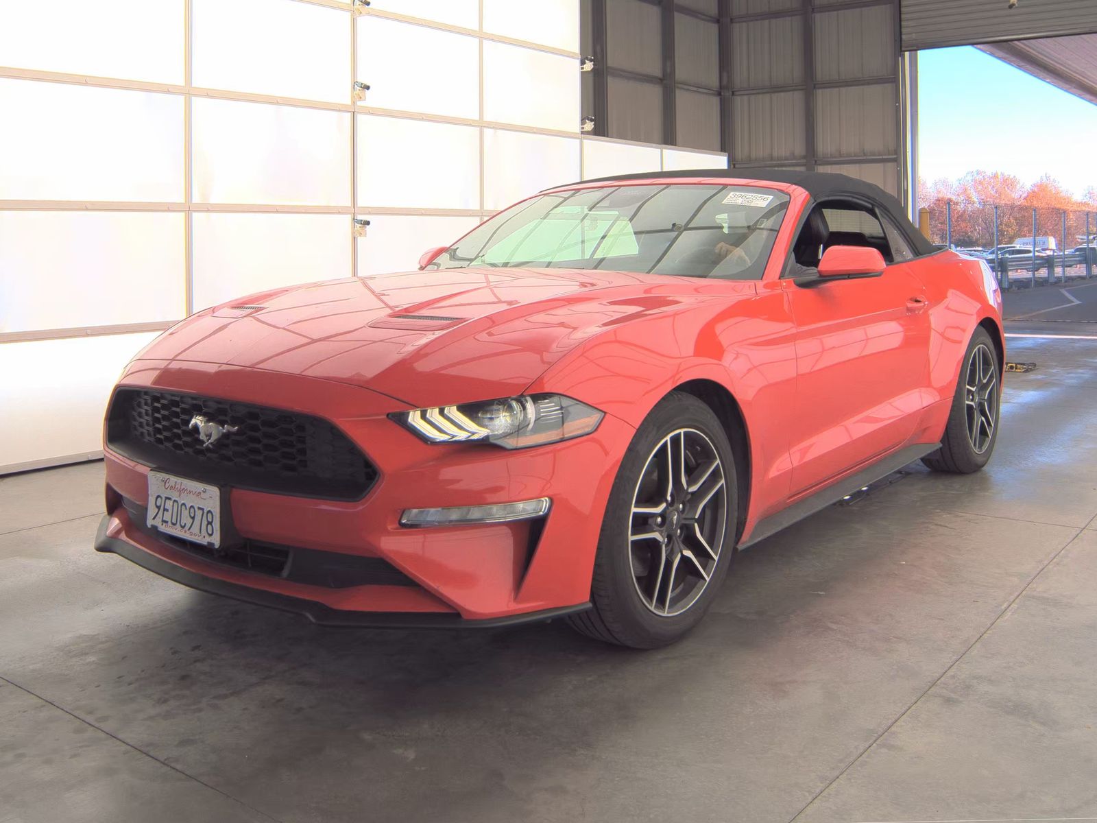 2023 Ford Mustang EcoBoost's photo