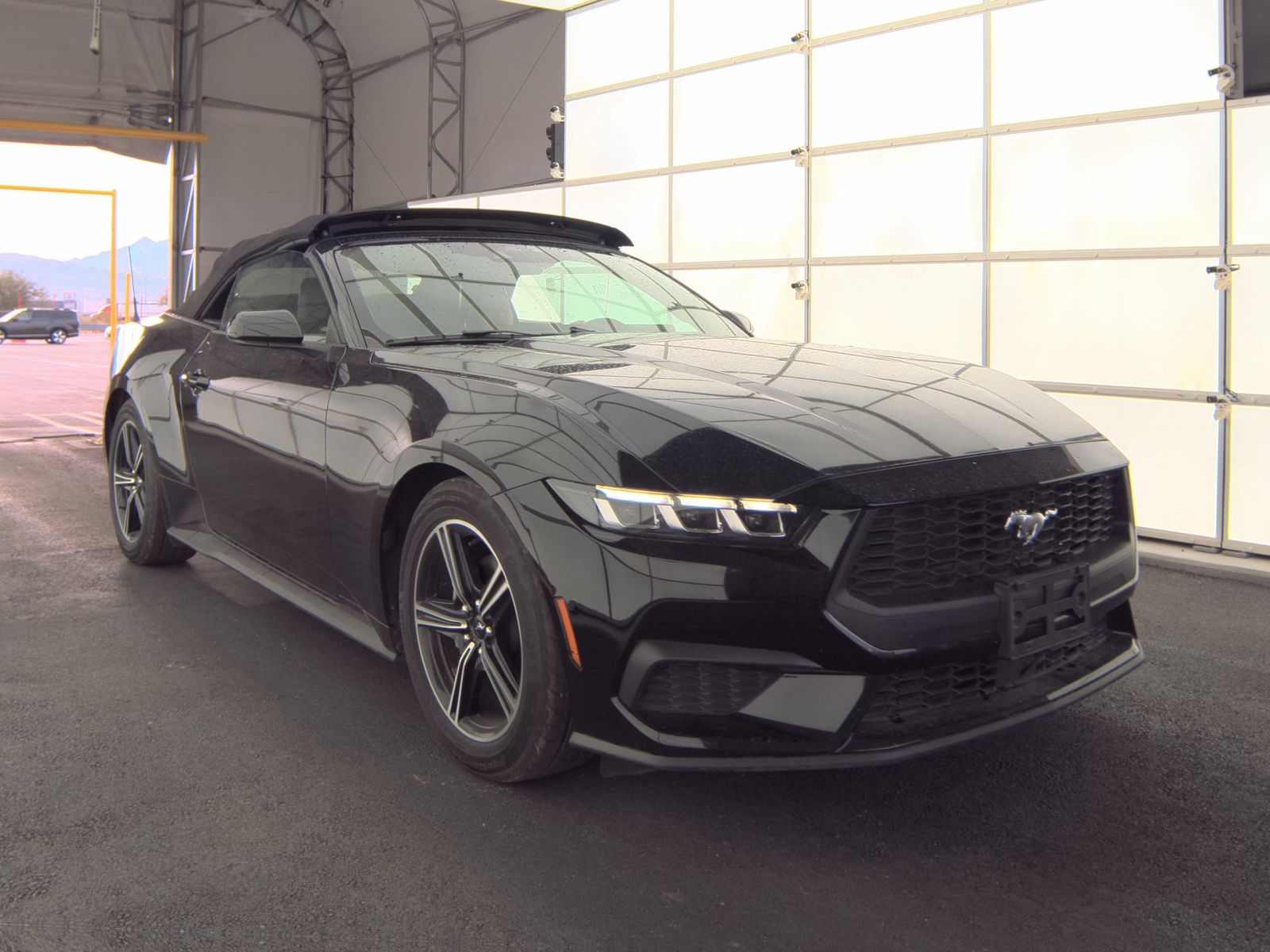 2025 Ford Mustang EcoBoost Premium RWD