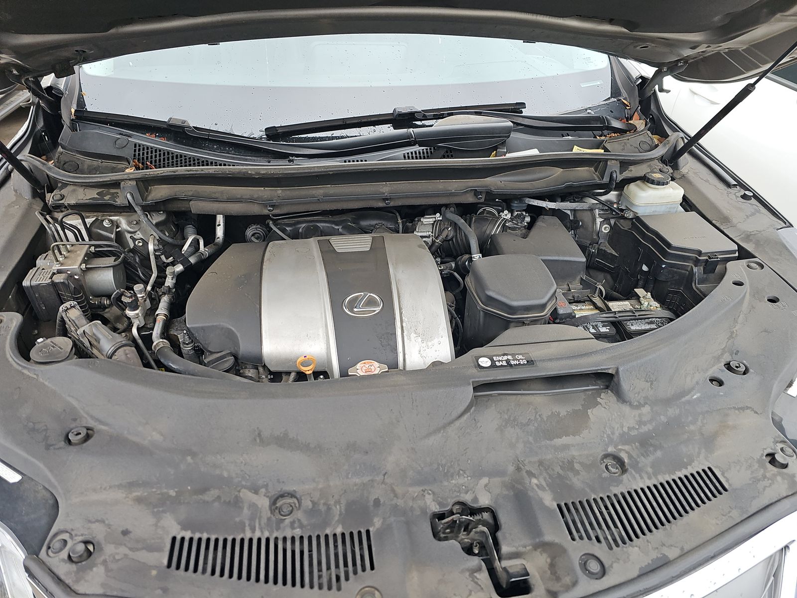 2019 Lexus RX RX 350 FWD