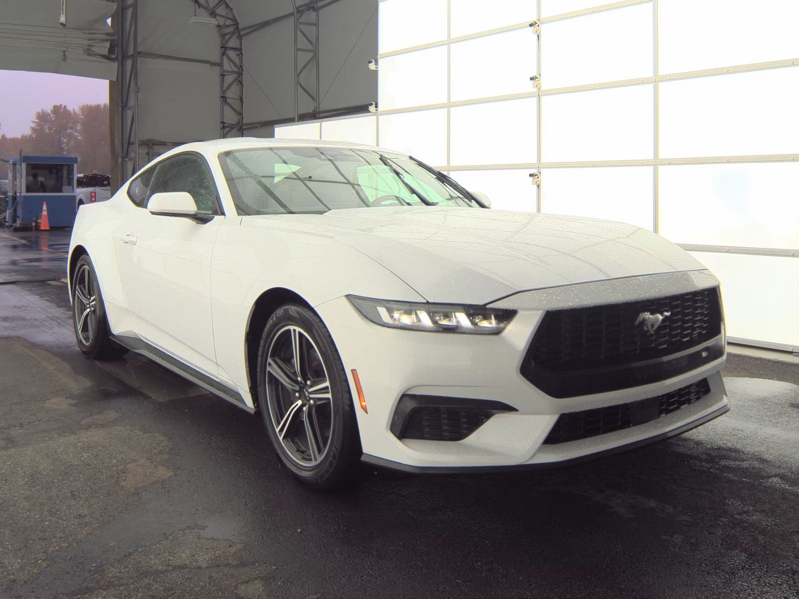 2024 Ford Mustang EcoBoost RWD