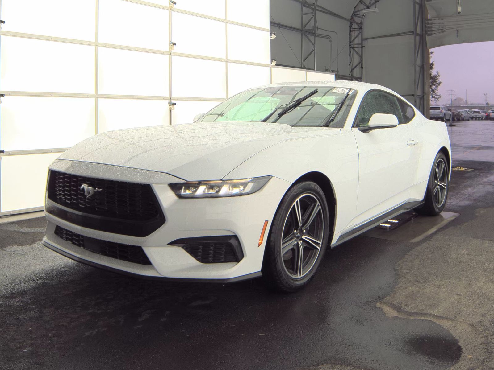 2024 Ford Mustang EcoBoost RWD