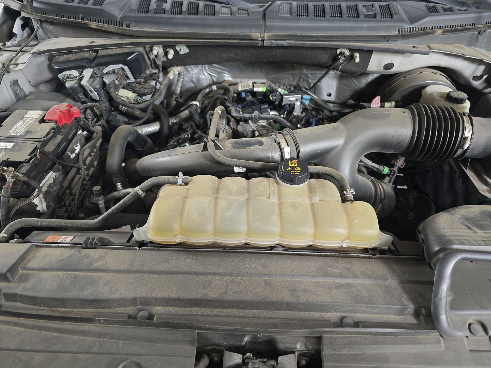 2019 Ford F-150 XL RWD