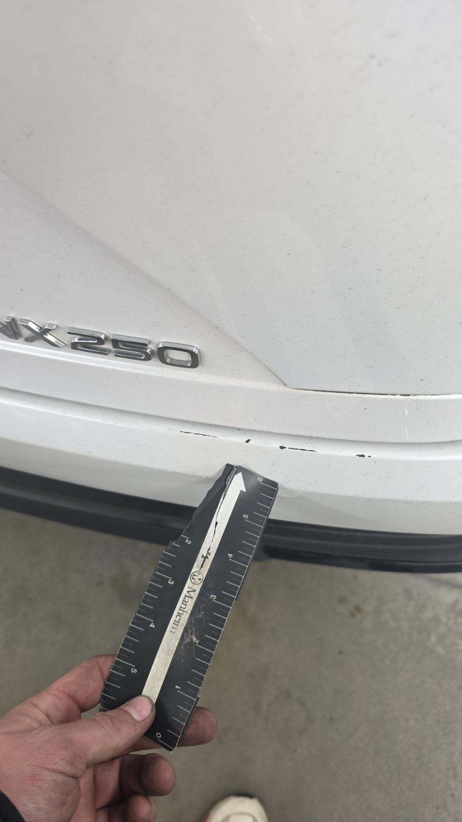 2024 Lexus NX NX 250 FWD