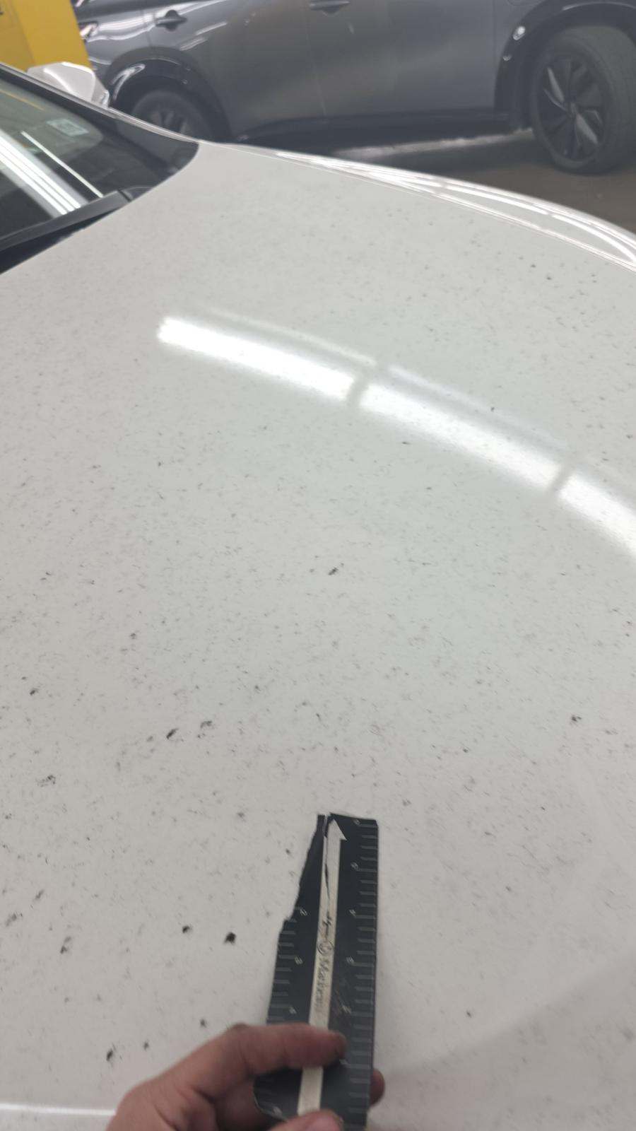 2024 Lexus NX NX 250 FWD