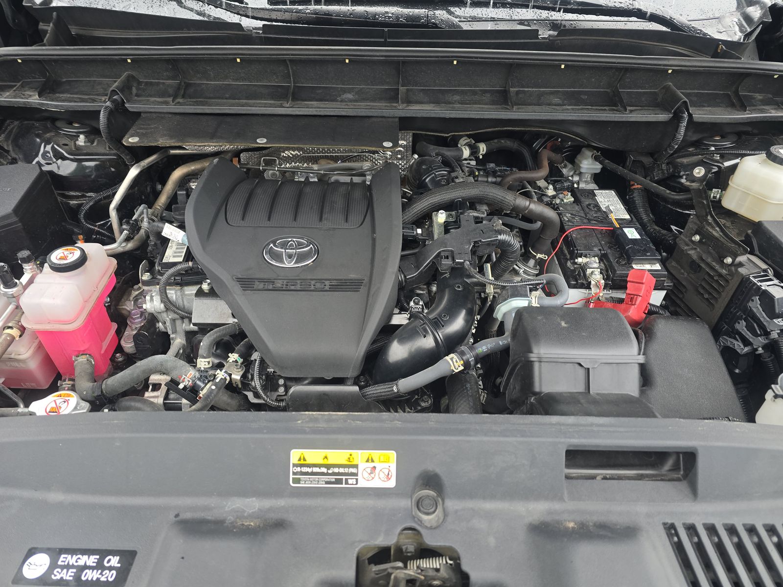 2024 Toyota Highlander XLE AWD