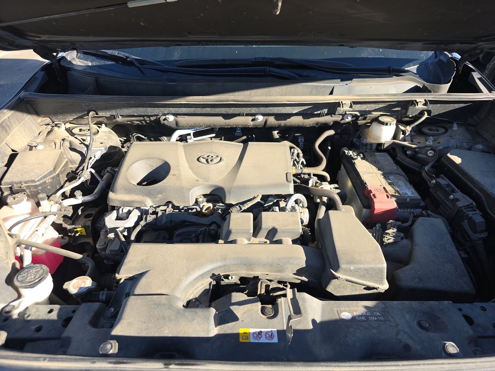 2024 Toyota RAV4 XLE AWD