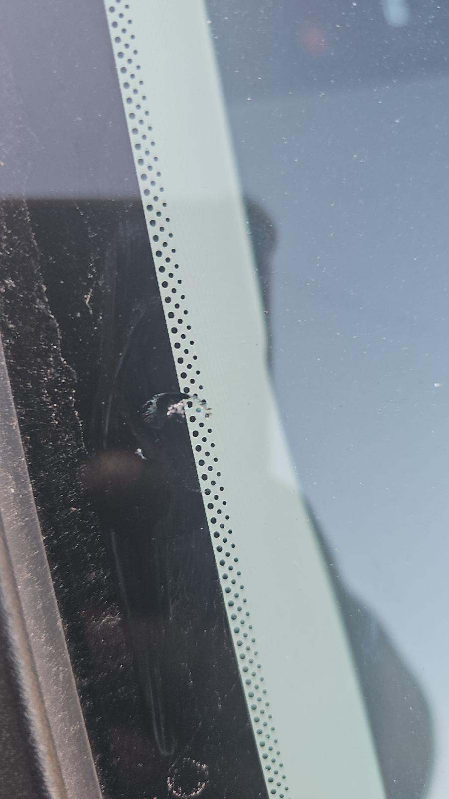 2024 Hyundai Tucson SEL AWD