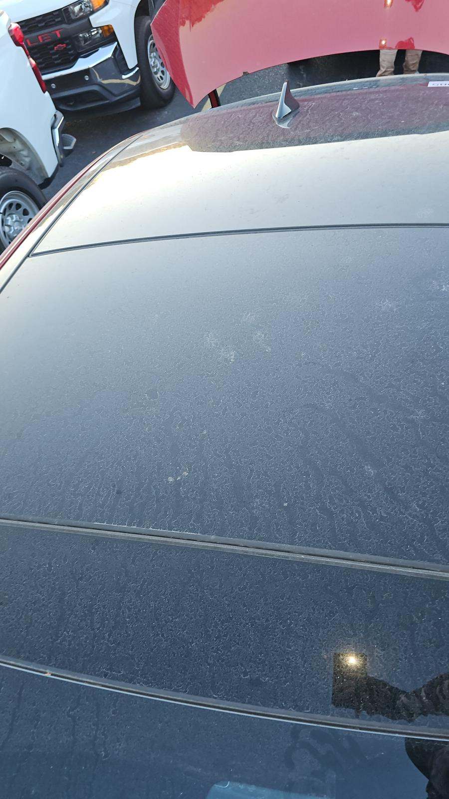 2025 Hyundai Sonata Hybrid Limited FWD