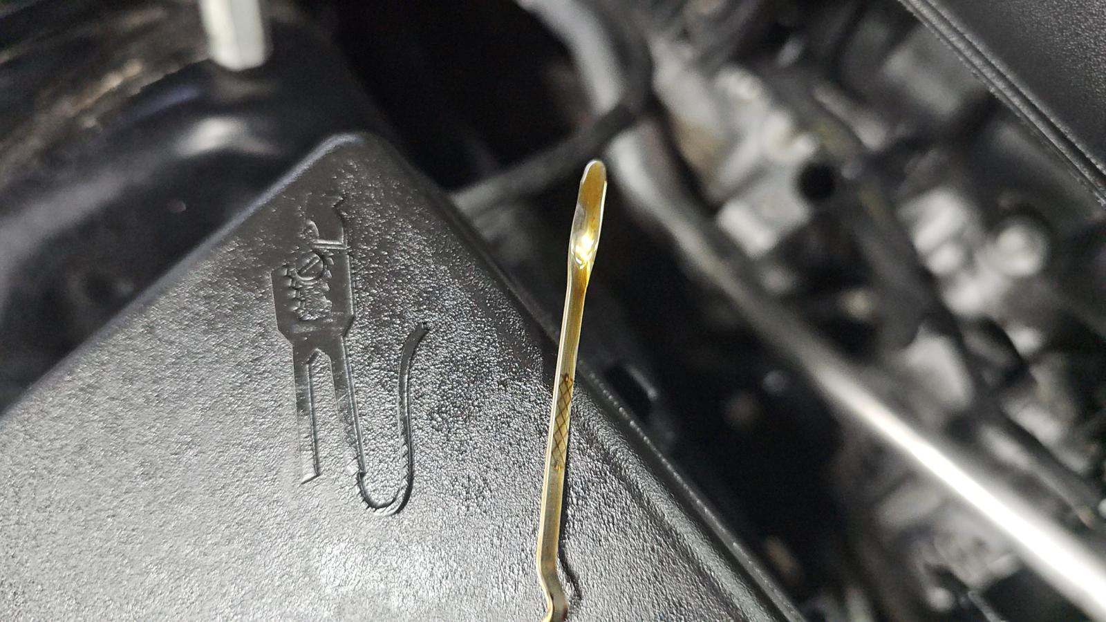 2021 Dodge Charger SXT RWD