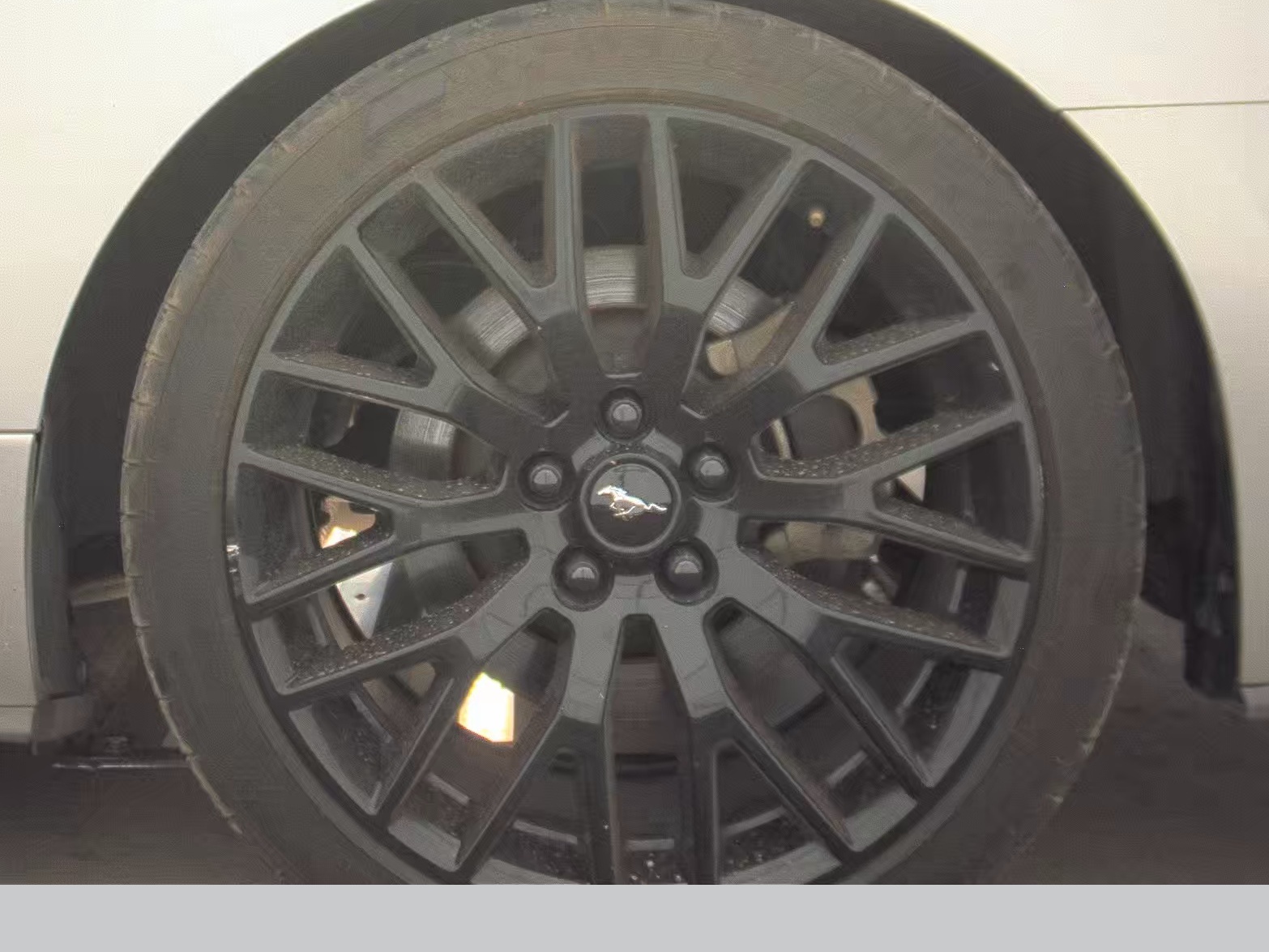 2019 Ford Mustang GT Premium RWD