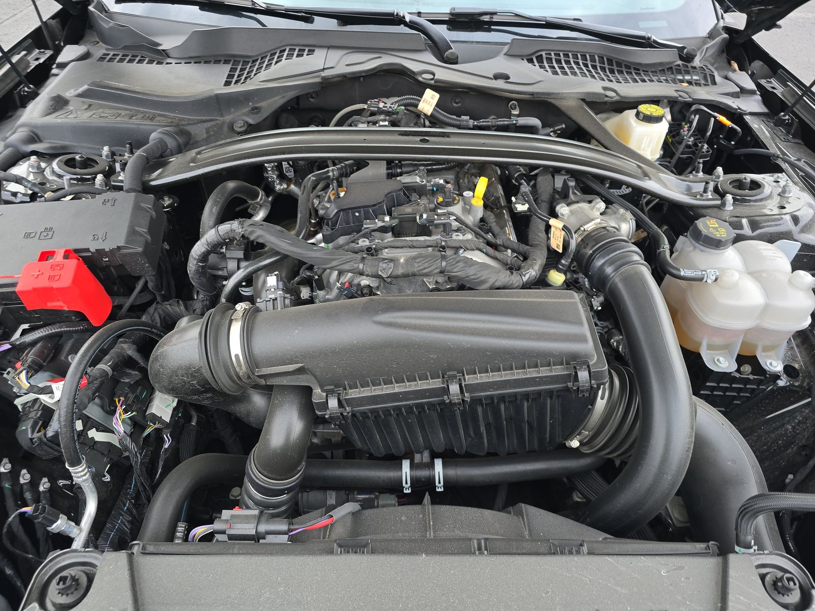 2025 Ford Mustang EcoBoost Premium RWD