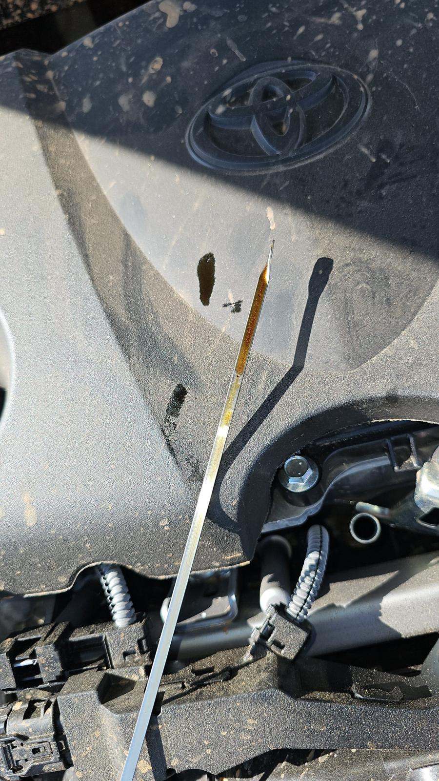 2025 Toyota Camry SE FWD