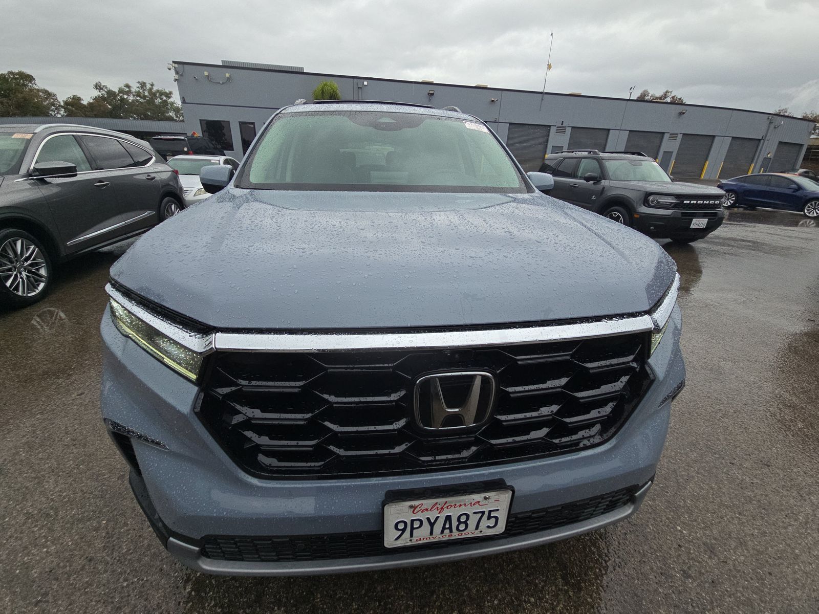 2025 Honda Pilot Elite AWD