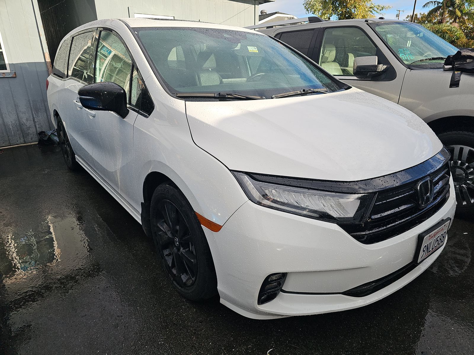 2024 Honda Odyssey Sport FWD