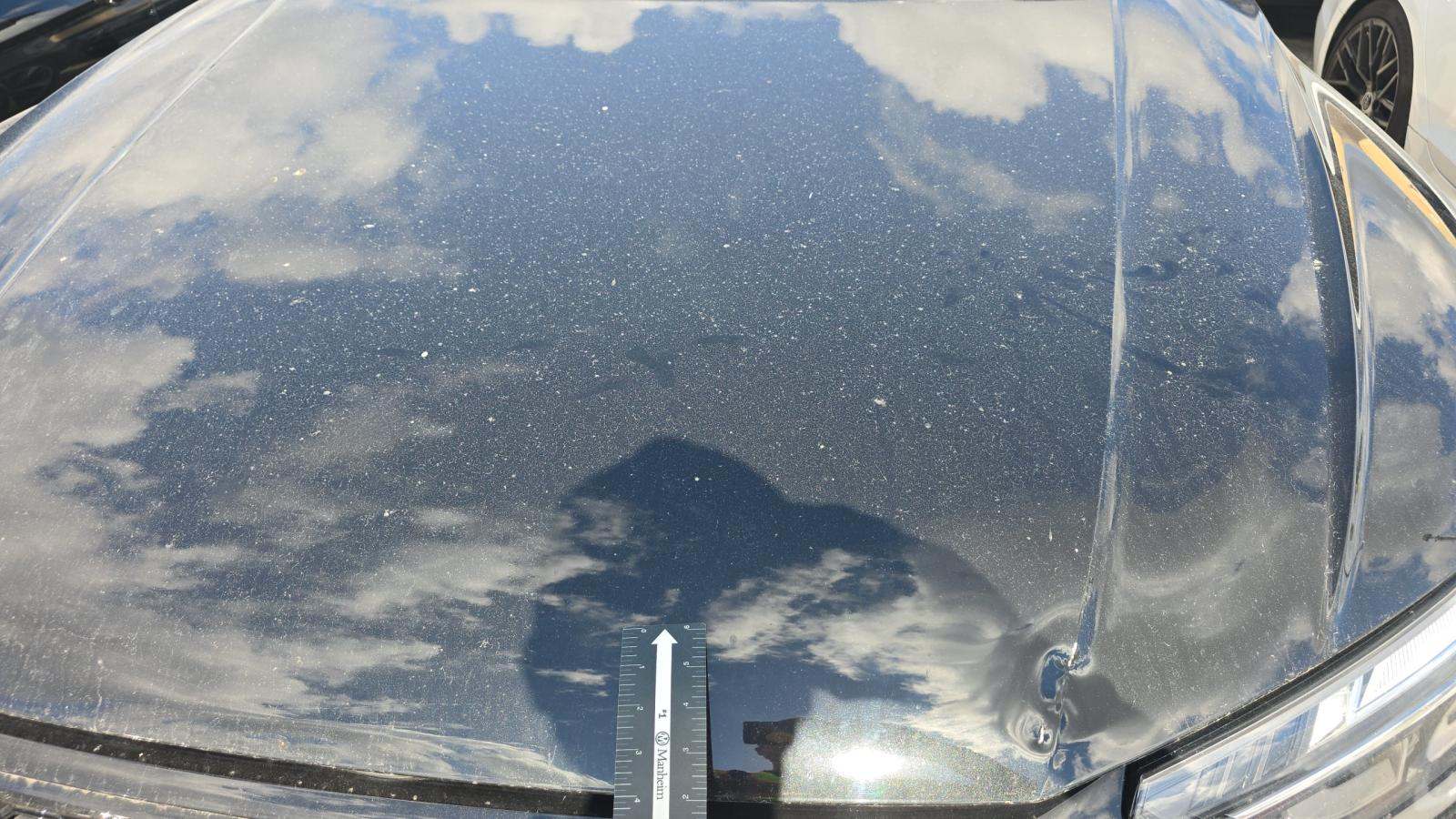 2023 Audi SQ5 Premium Plus AWD