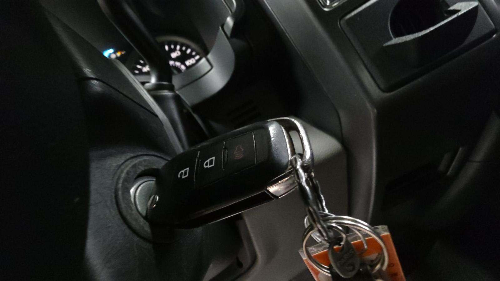 2019 Ford F-150 XLT RWD