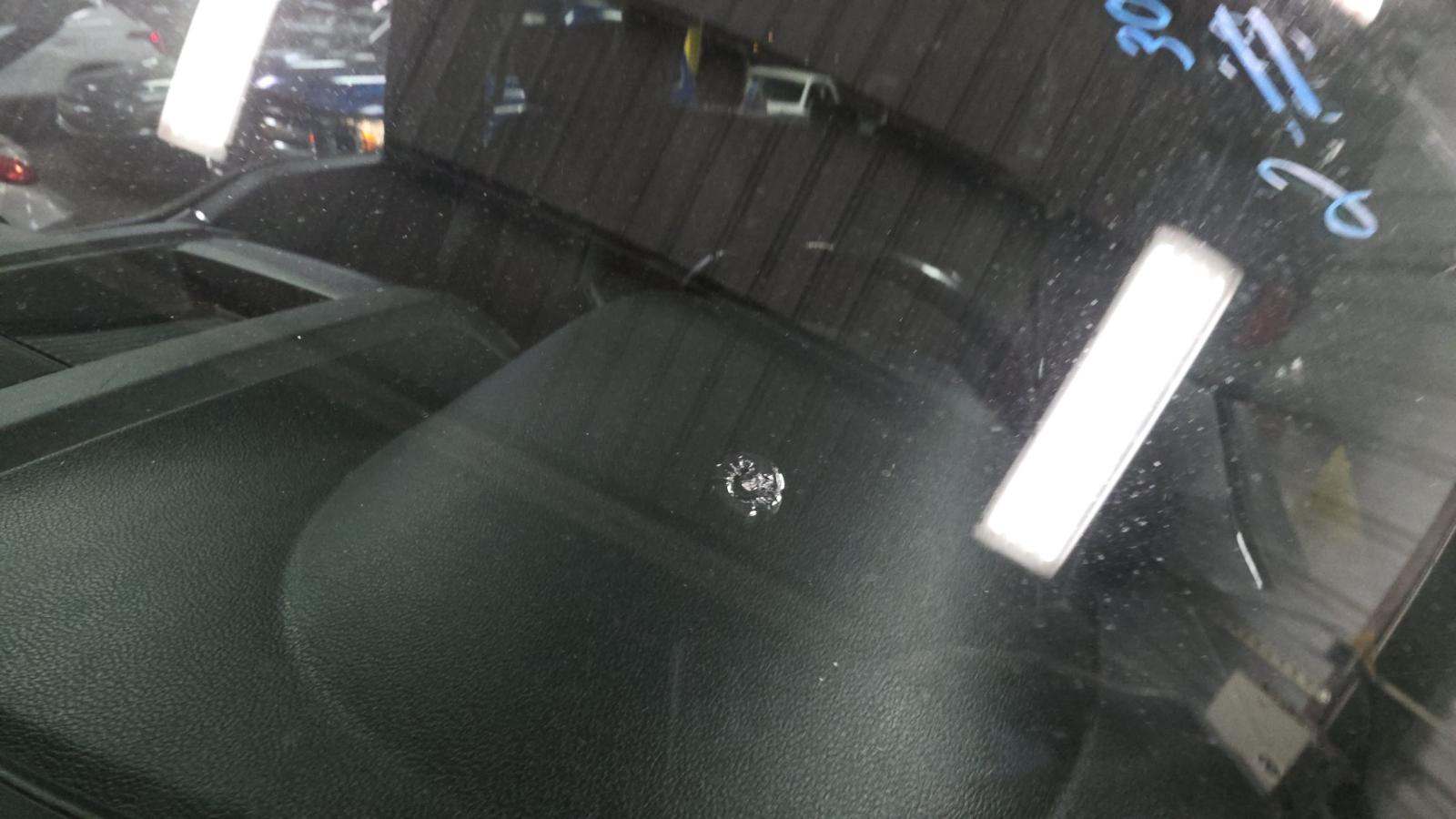 2019 Ford F-150 XLT RWD