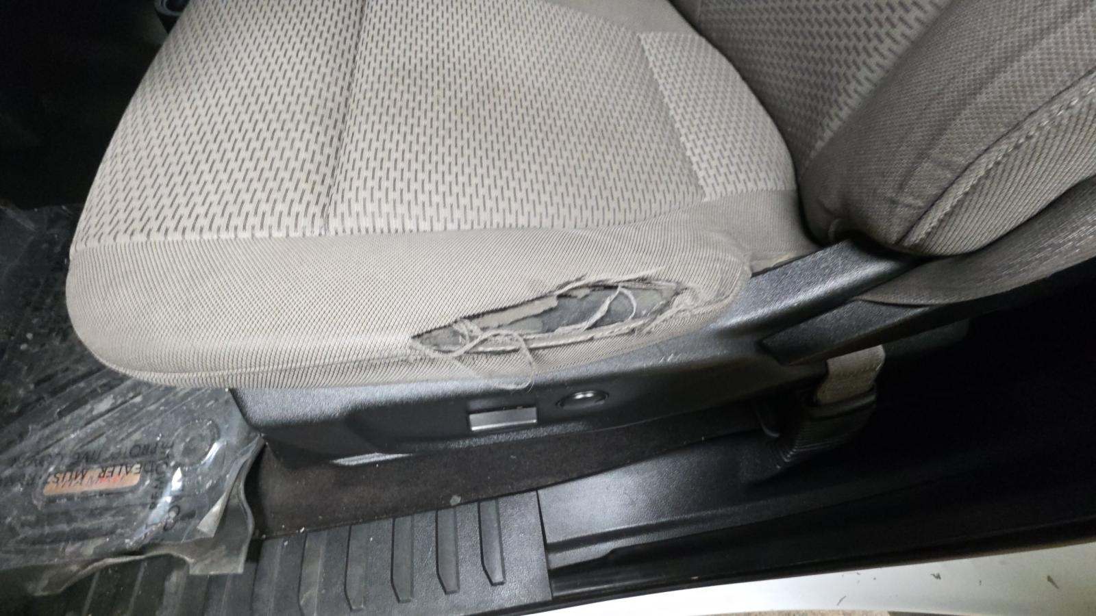 2019 Ford F-150 XLT RWD