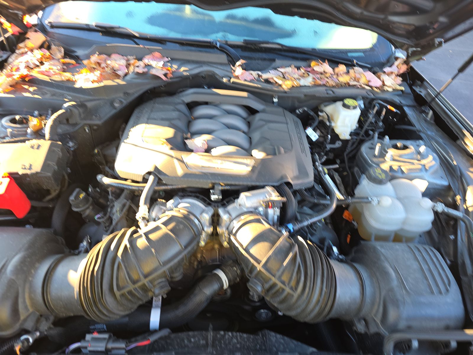 2025 Ford Mustang GT Premium RWD