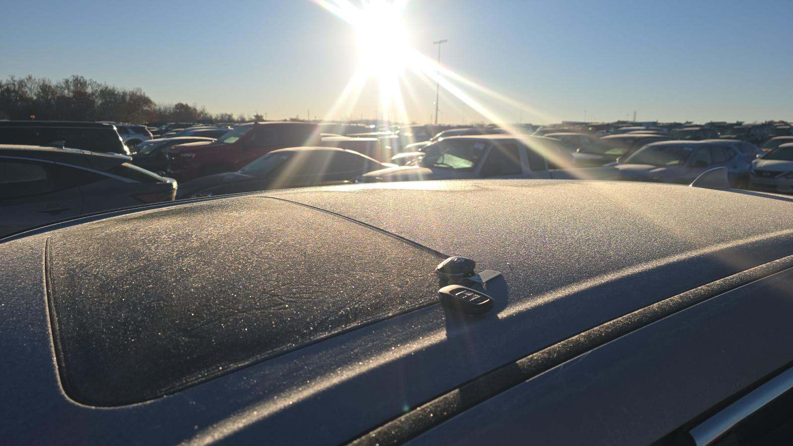 2025 Honda CR-V EX-L AWD