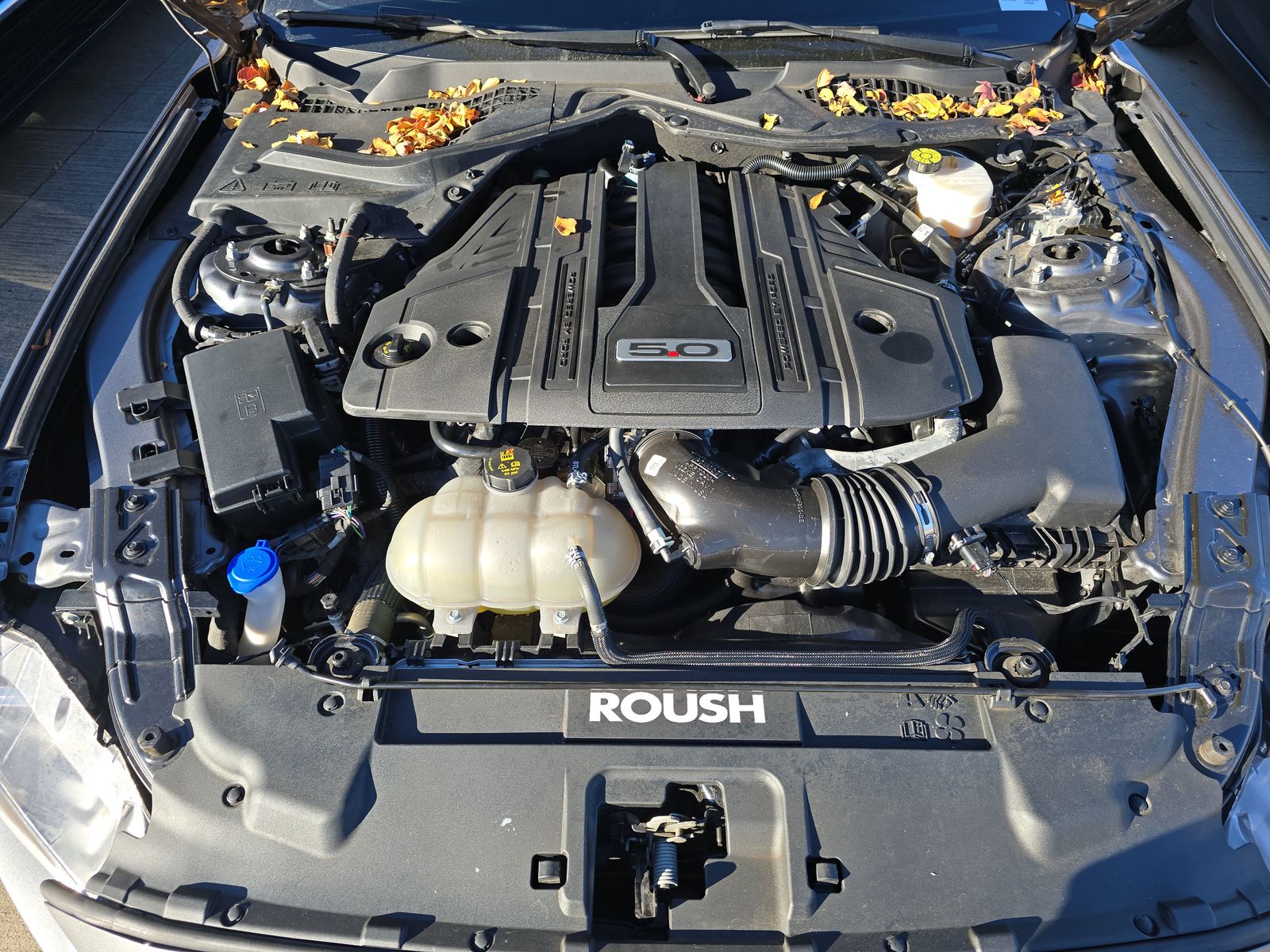 2022 Ford Mustang GT Premium RWD