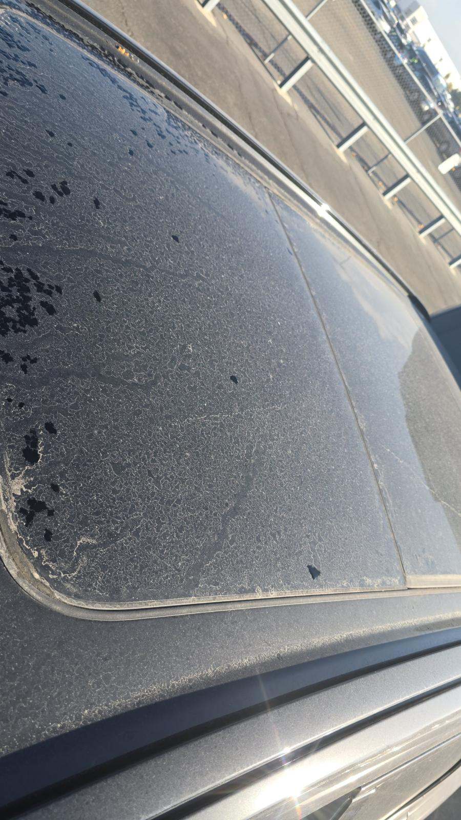 2025 Volvo XC60 B5 Plus AWD