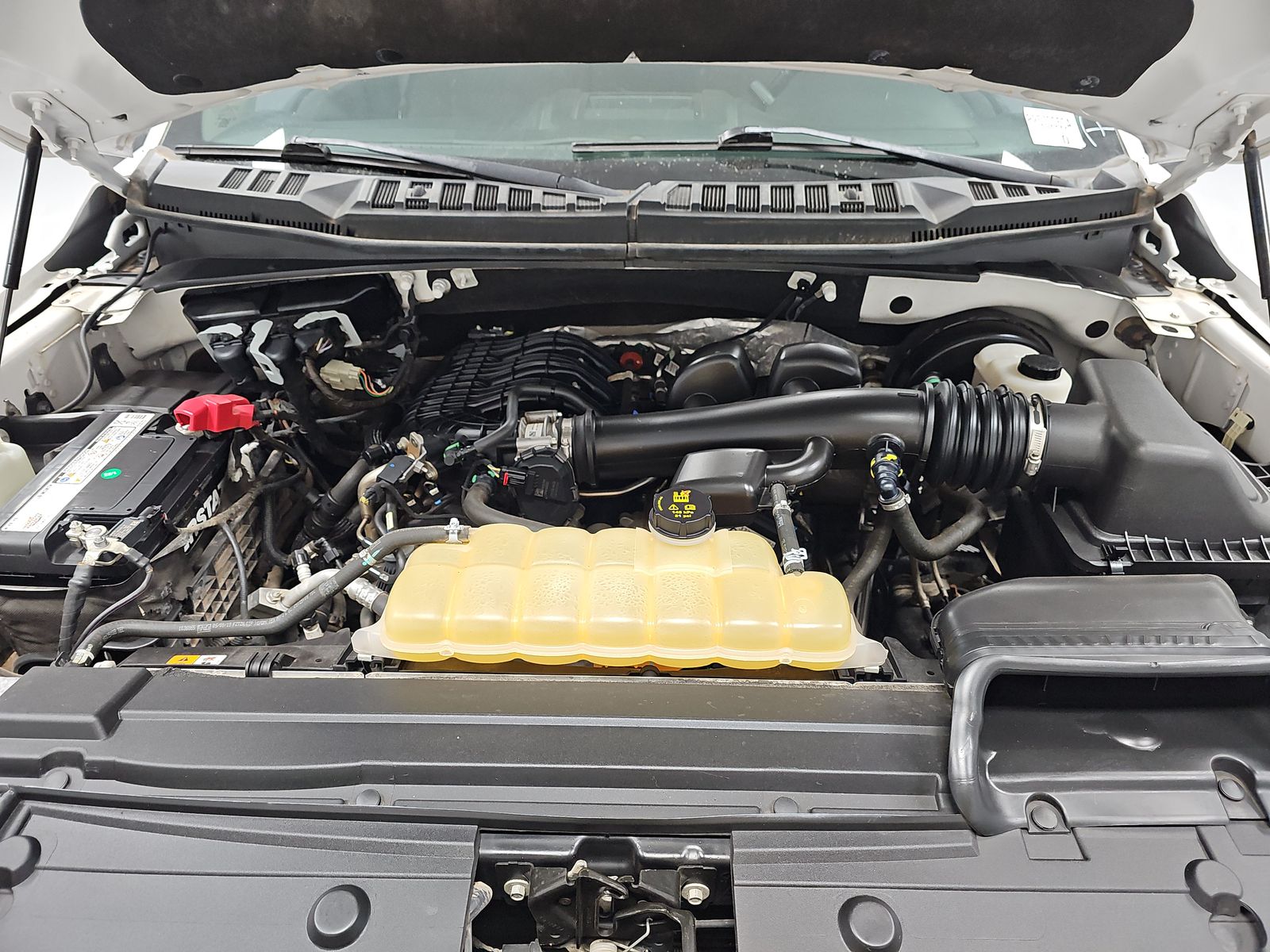 2019 Ford F-150 XLT RWD