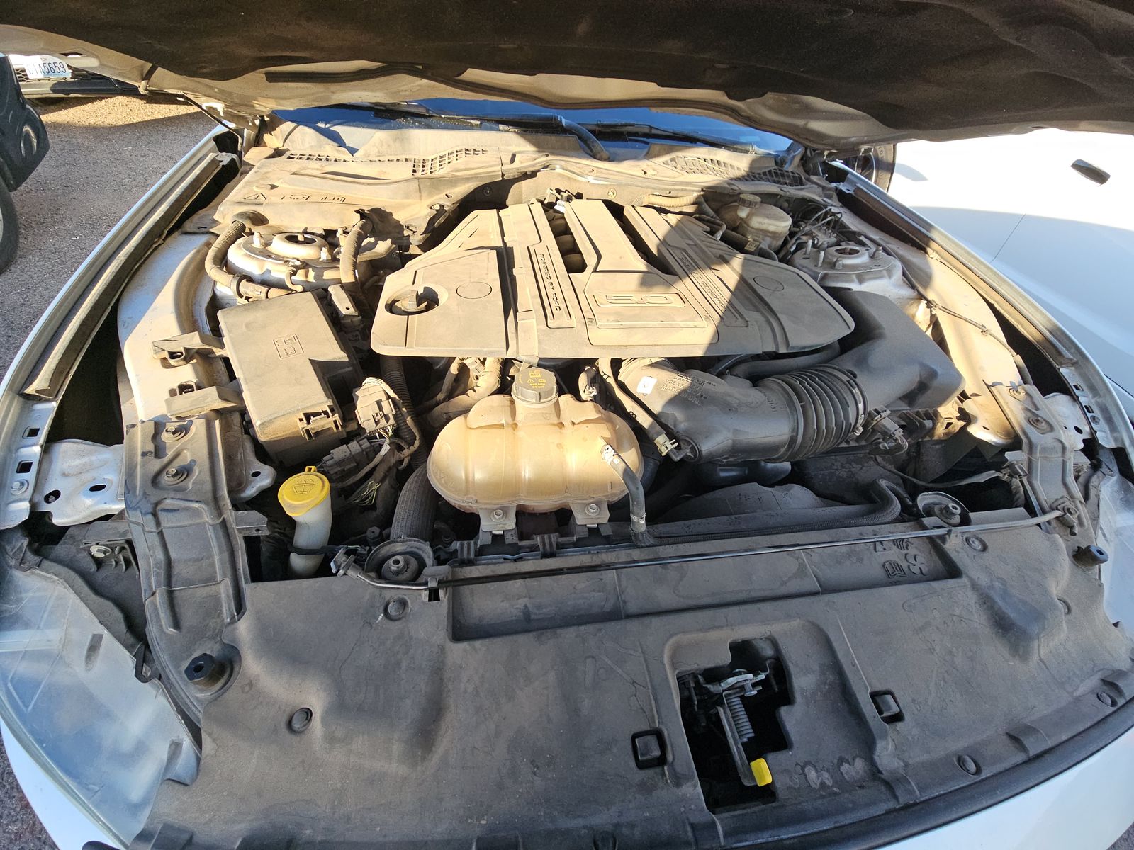 2019 Ford Mustang GT Premium RWD