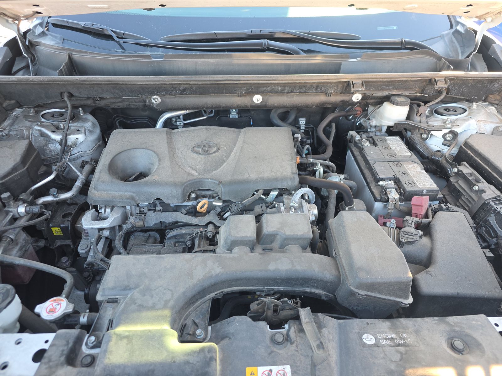 2024 Toyota RAV4 XLE AWD