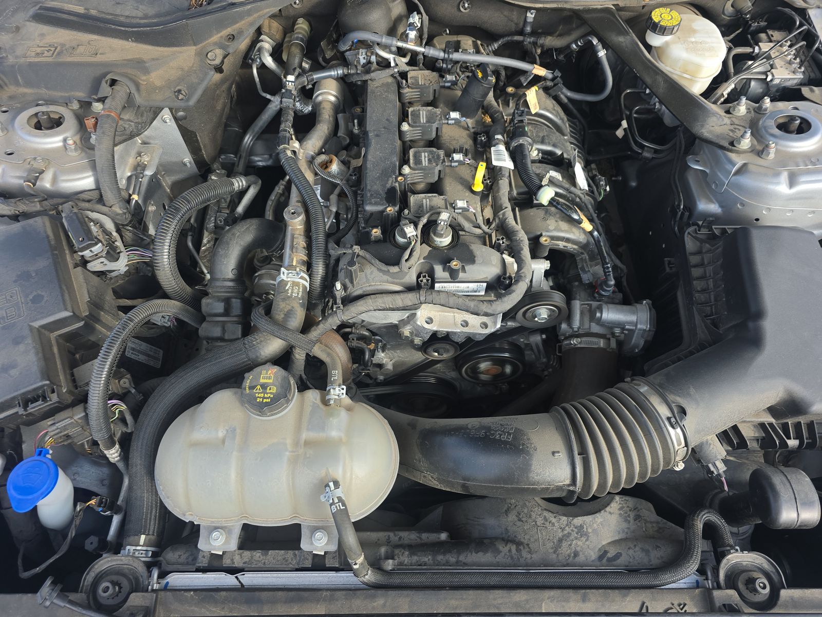 2023 Ford Mustang EcoBoost Premium RWD